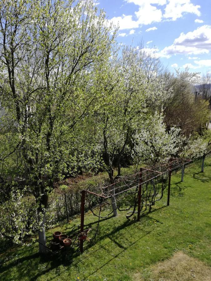 Guesthouse Sebalj Rakovica Eksteriør bilde